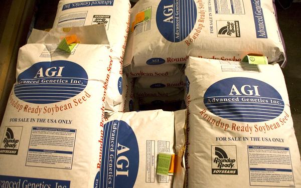 What Those Numbers on Your Bag of Grass Seed Actually Mean